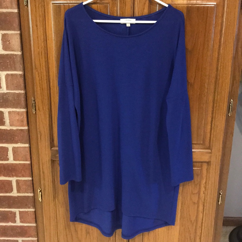 Umgee blue tunic top